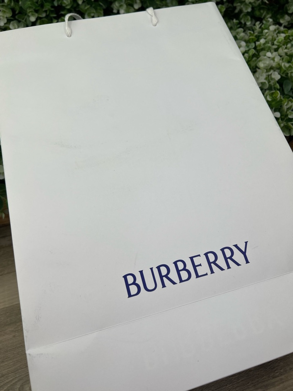 Burberry Authentic Classic Gift Bag / Shopping Bag - Picture 9 of 12